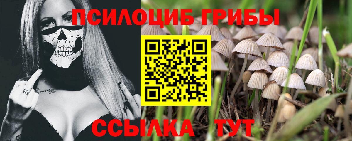 Дзержинский  Псилоцибиновые грибы мицелий  Вход с VPN 
